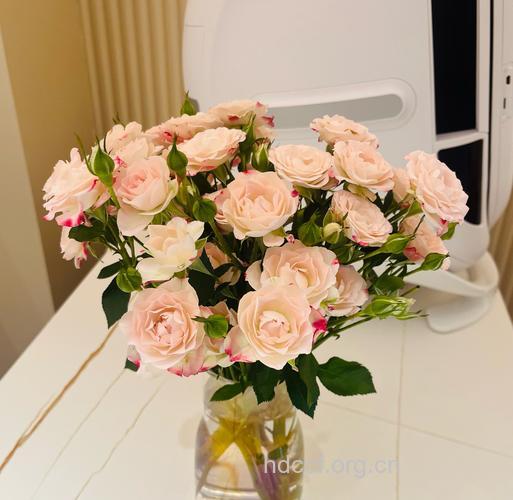 五种鲜花最具美容效果