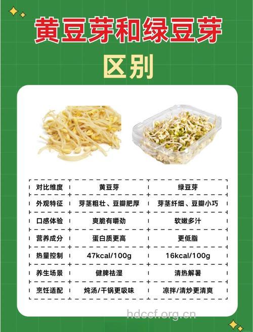 怎么挑选豆芽