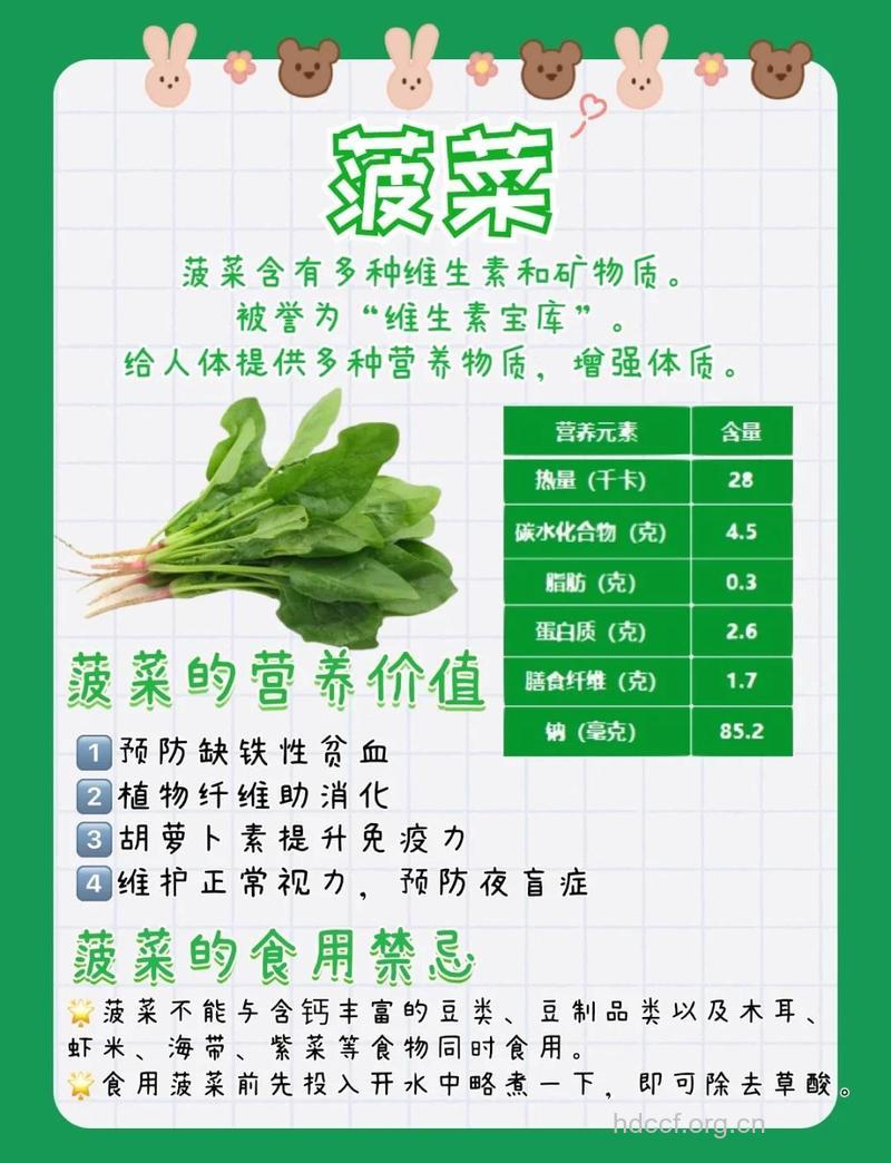 菠菜的营养价值有哪些