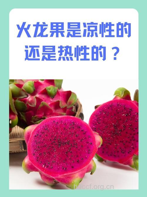 夏季想减肥不妨试试火龙果