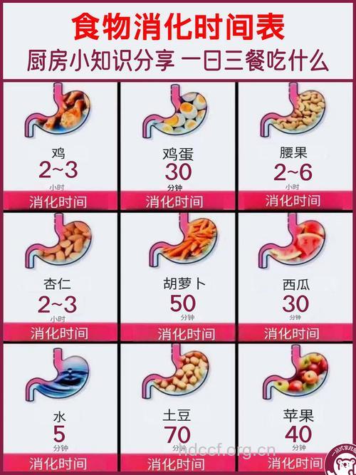 一日三餐什么时间吃最容易消化?