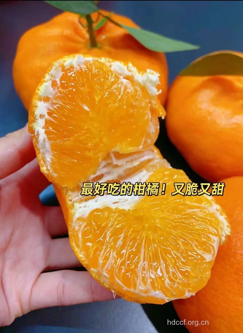 食用橘子 帮你平腹