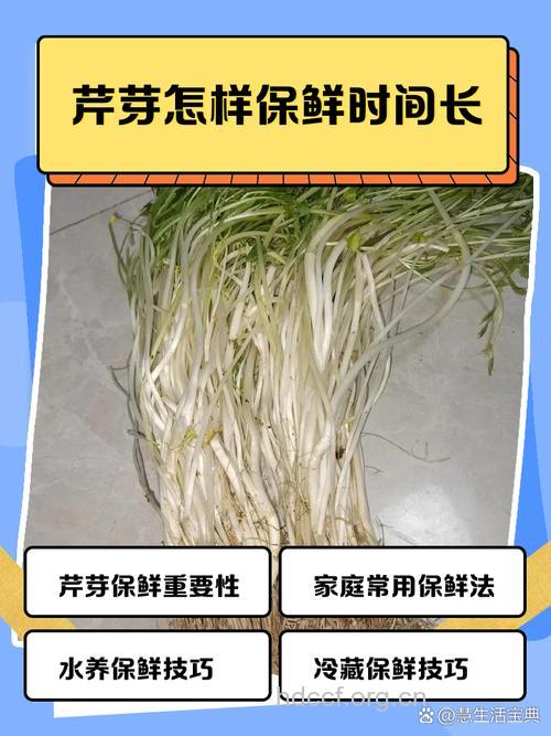 芽菜及芹菜等能让体味变得更加香甜