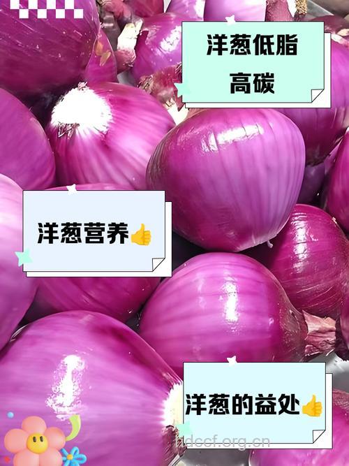 奇！洋葱中几乎不含一点脂肪成分