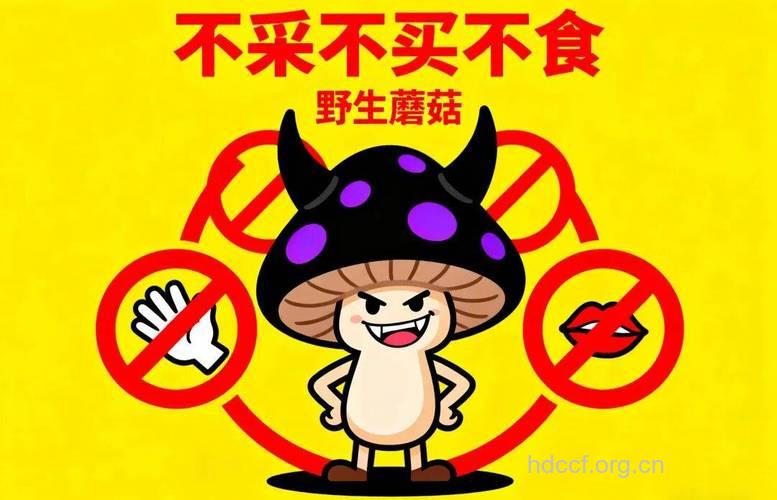 多吃蘑菇可减少患病的风险