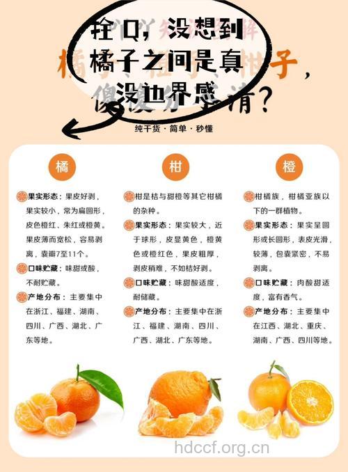 不用吃柑橘 闻着也帮你入香梦