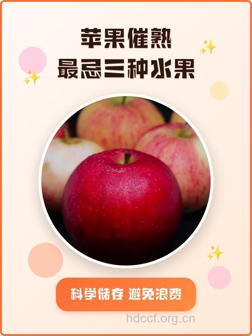利用苹果可以催熟其他水果