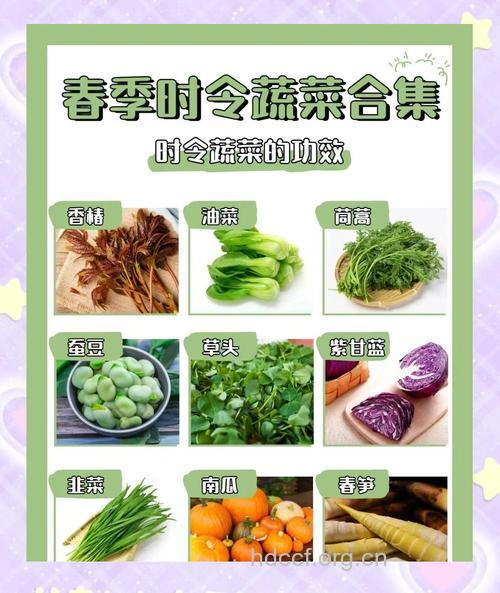 你必须留意的春天蔬菜搭配