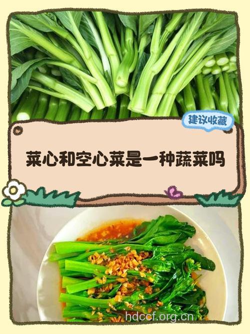 吃这些蔬菜要留一个心眼