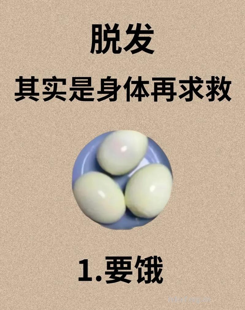 护发方法 女性脱发吃什么食物