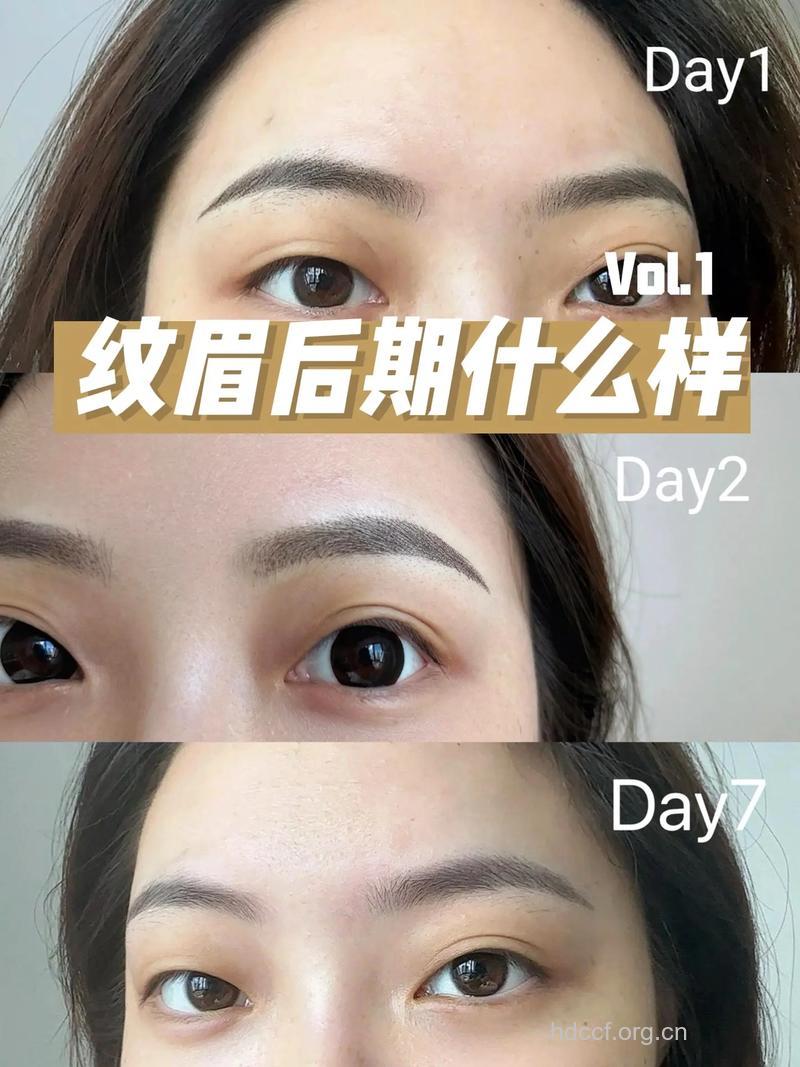 纹眉是如何发展的
