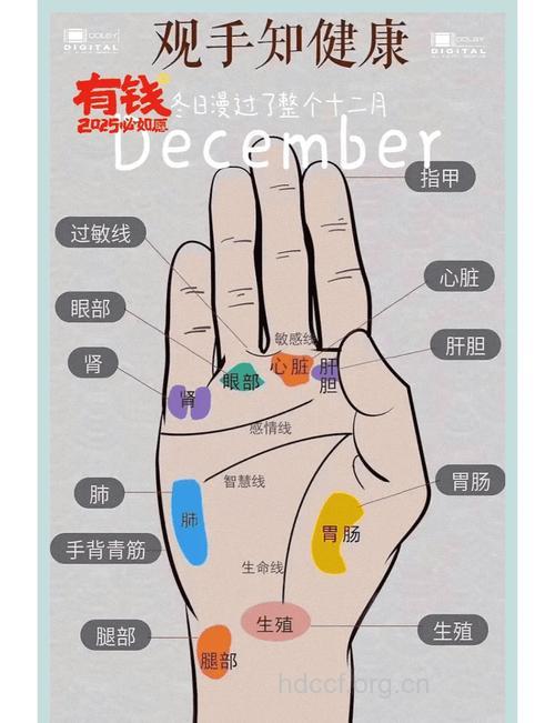 “三纹”指的是什么