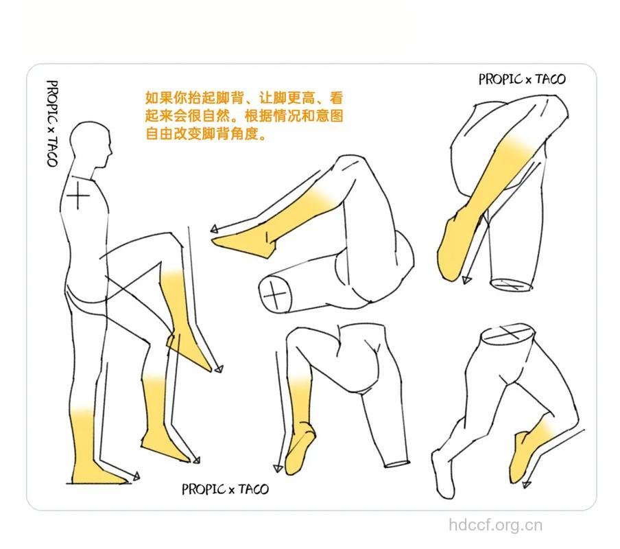 怎样拥有完美的下半身