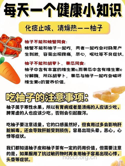 柚子降糖降脂预防心脑疾病