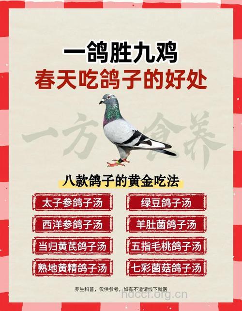 肉鸽的八大食疗作用