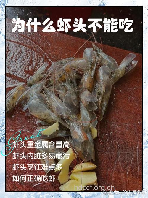 吃虾过量会“性趣”降低