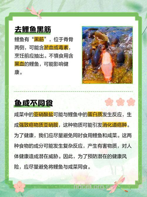 吃鱼注意的禁忌