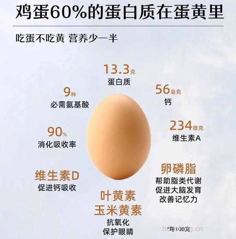 蛋黄中尚存在一定的“好胆固醇”