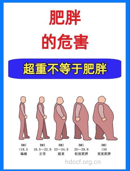 美国人将变更胖矮 肥胖造成的危害有很多