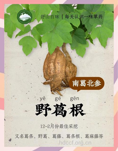 葛根益补赛人参