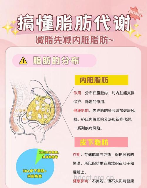 吸脂术的发展