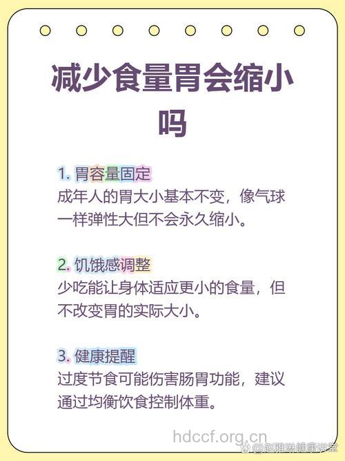 减肥不吃饭胃真的会变小吗 胃有大小吗
