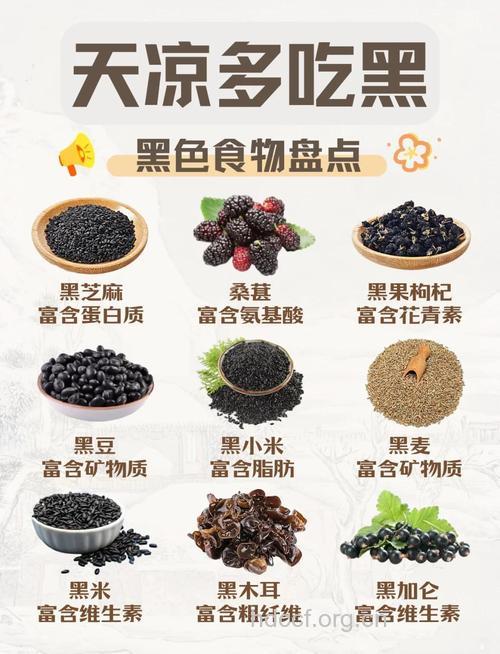 秋季保健 女人应多吃这7种黑食物