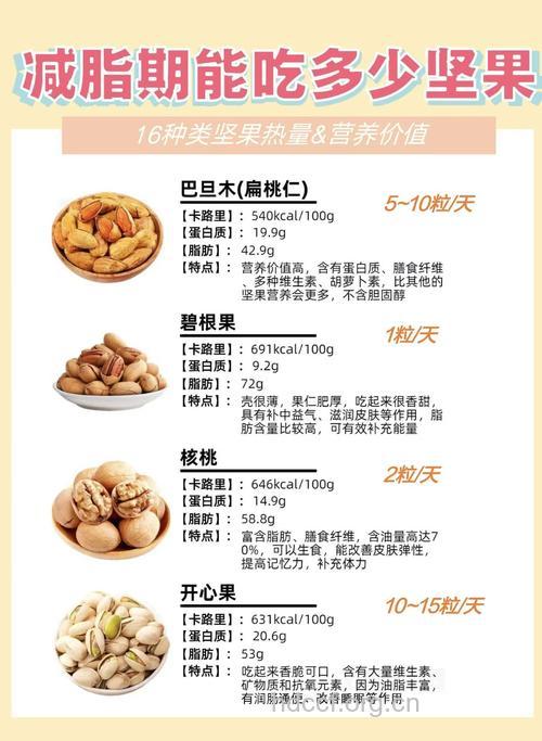 每天一盎司坚果 可减少中年肥胖危机