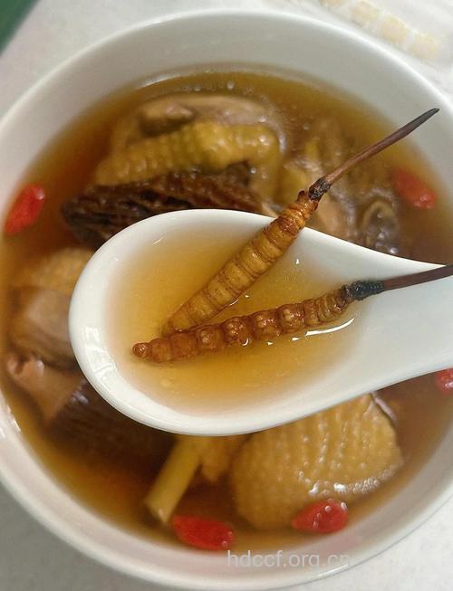 虫草药膳美味佳肴