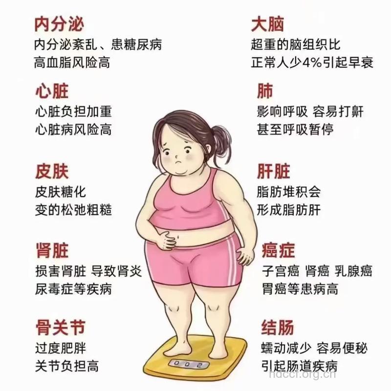 四分之一人口可能患肥胖症 3招避免肥胖