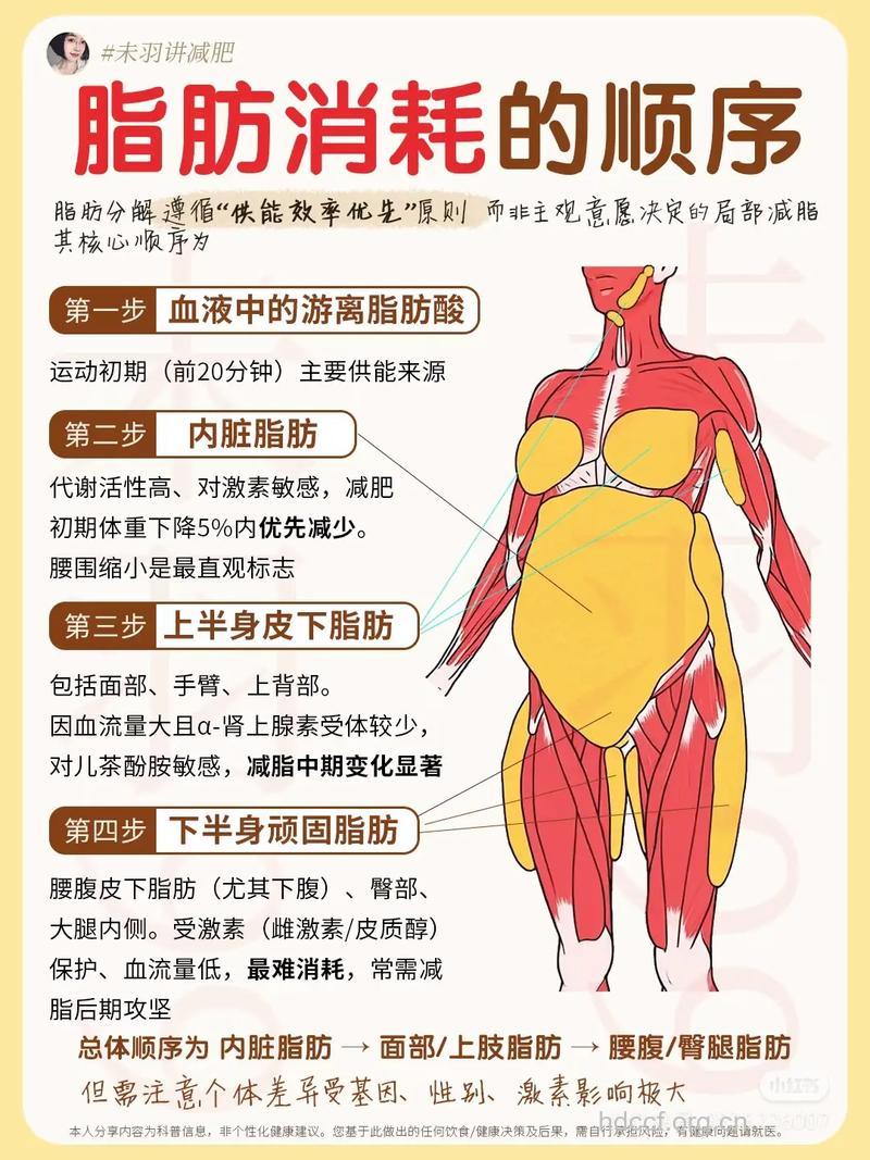 吸脂减肥有哪些常见问题
