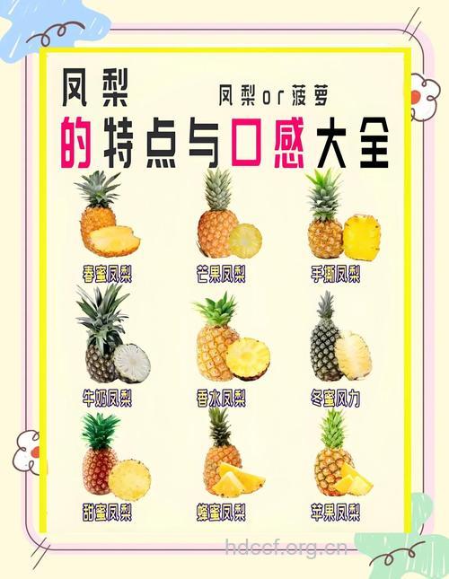 菠萝“迷你食谱” 美容又养生