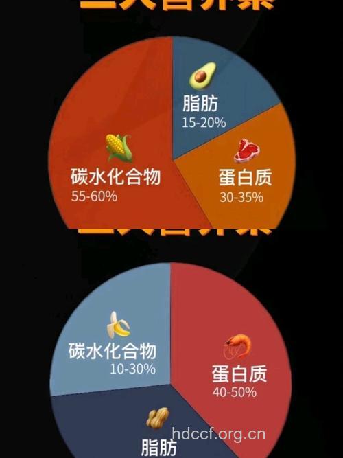 中年必需的三大维生素
