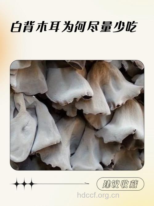 木耳不能乱吃