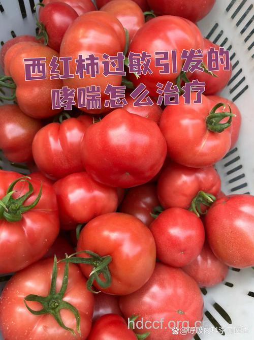 食用大量西红柿患哮喘风险低