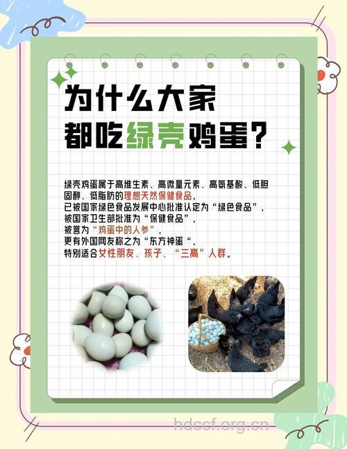 研究显示:鸡蛋是最环保食物