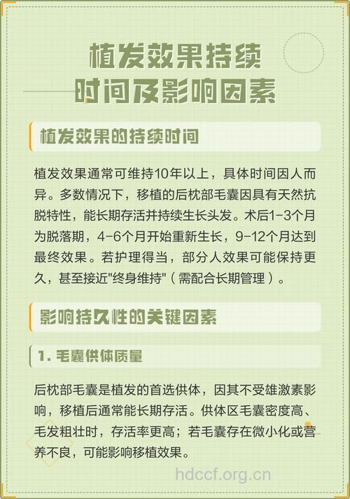 哪些因素影响植发效果