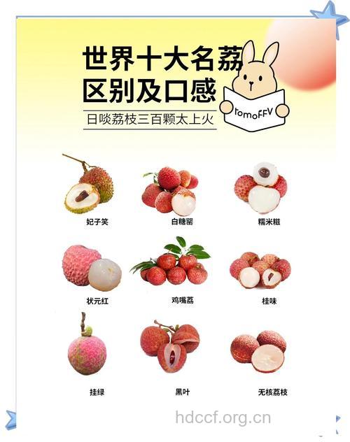 挑选荔枝要分三步走