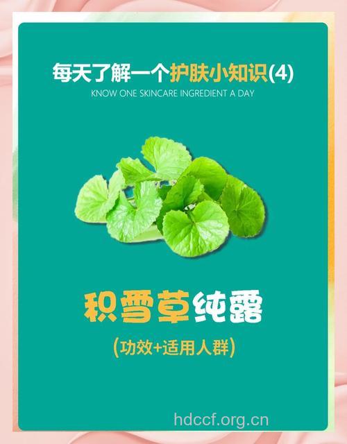 护肤品里的救星