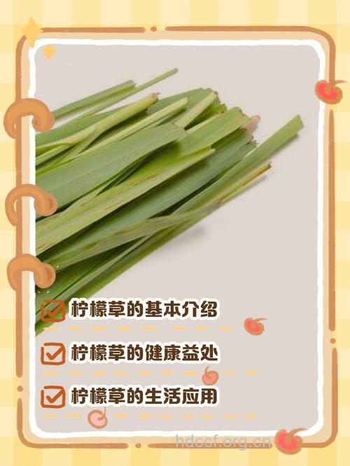 柠檬草美肤秘方
