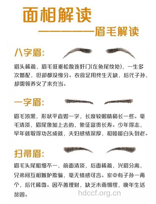 有关眉形的九大经典问答