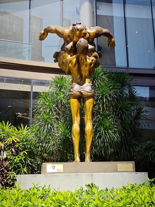 360度吸脂 完美体型雕塑