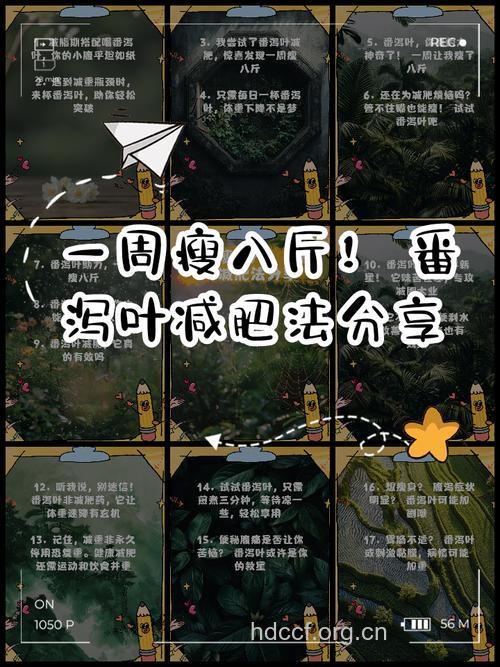 泻药减肥不能信 只会越减越肥