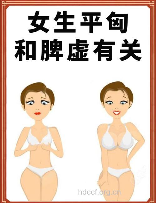 女性平胸的原因 称丰胸与脾胃有关
