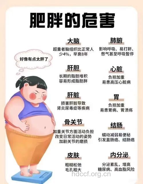 肥胖率增长变缓 7个发胖的坏习惯要警惕