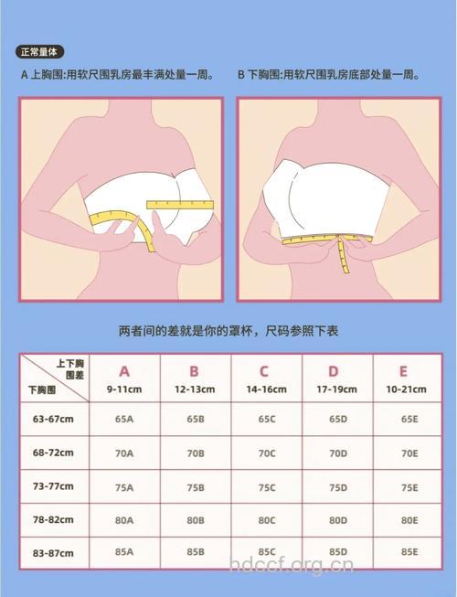 胸围标准测试方法你知道吗