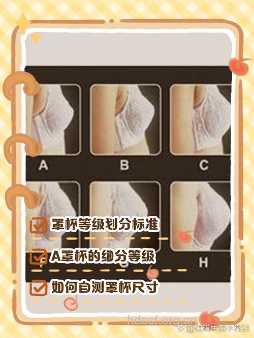 波霸风暴D杯胸围四大原则