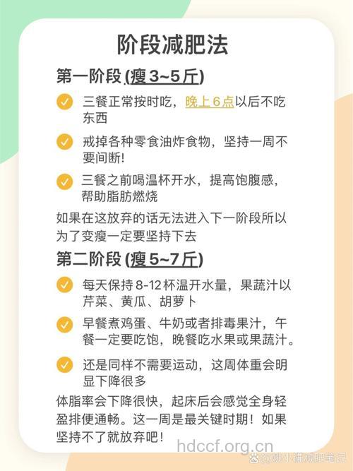 17岁女孩参加减肥营猝死 如何科学减肥