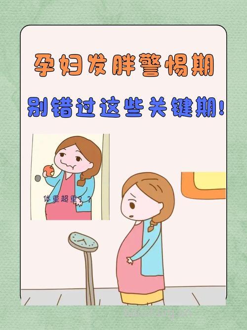 孕期肥胖易影响孕检