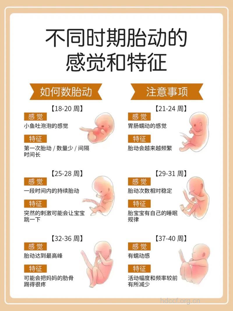 孕妇胎教时宝宝有感觉吗?